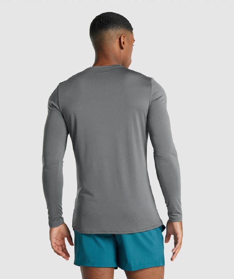 Gymshark Arrival Graficke Muške Dugi Rukav Sive | HR 2642SGL